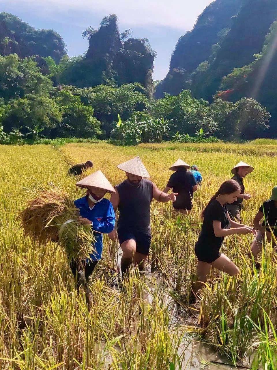 越英家庭旅馆 宁平 外观 照片
